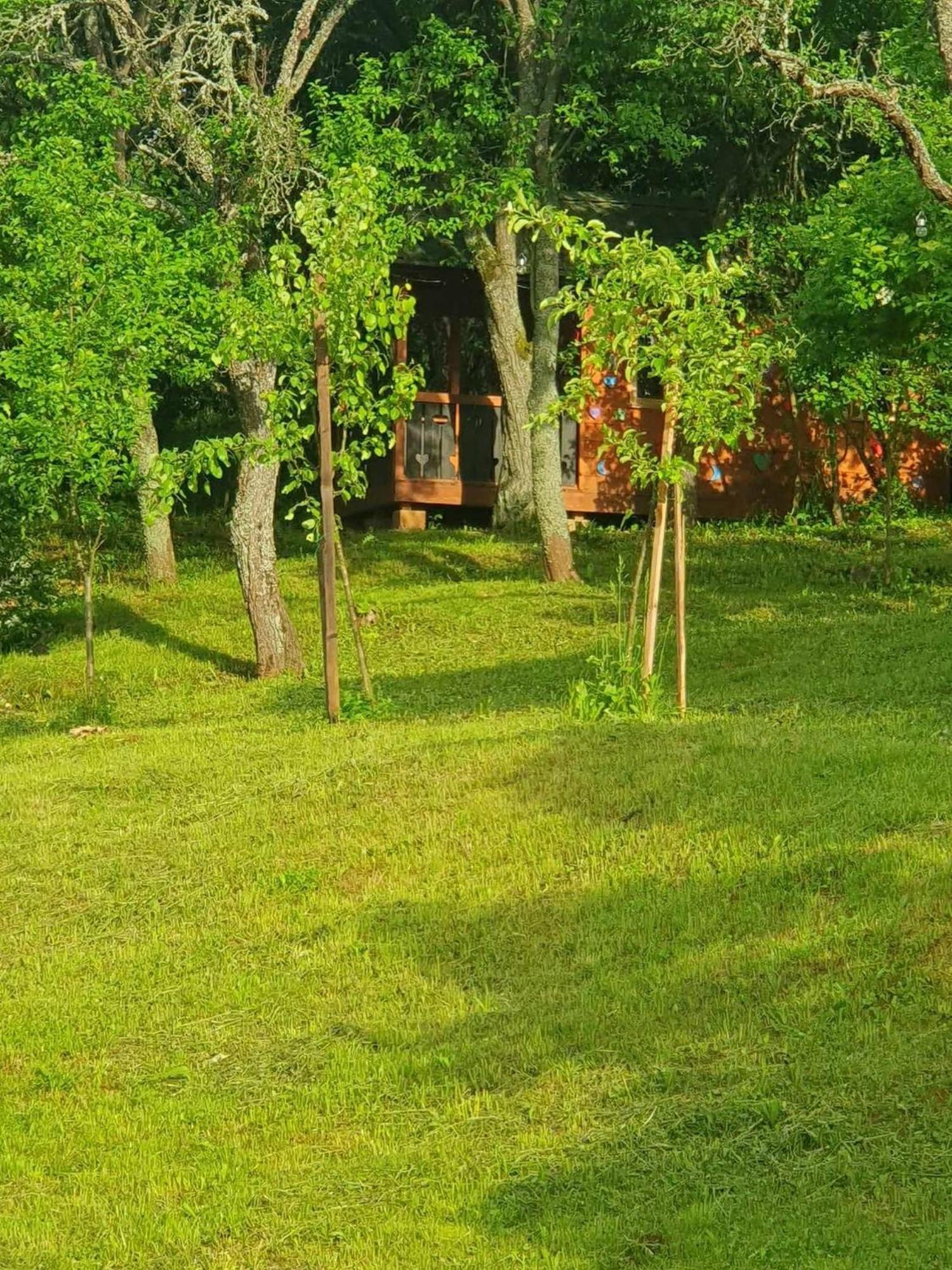 Apartments Sarika Dlha Ves Exterior photo